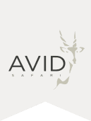 AVID Safari Main Logo